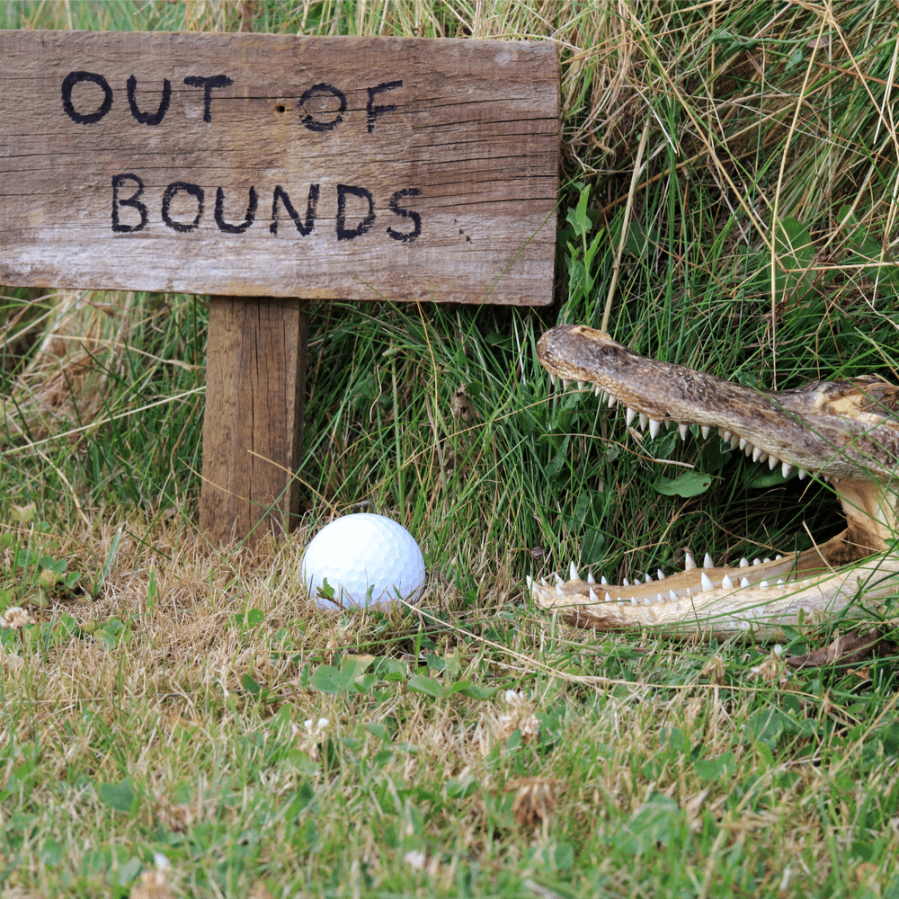 Golf Ball Retriever Shootout: Who Wins?