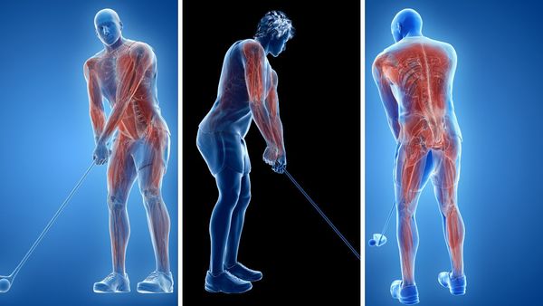 What Muscles Does Golf Work? Here’s the Surprising Answer!