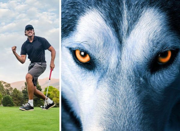 Unleash Your Inner Beast - The Thrilling Game Of Wolf In Golf